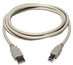 CABLE USB A-B M/M 6FT IVORY